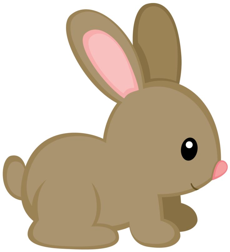 Best 25+ Rabbit clipart  Easter pictures to 