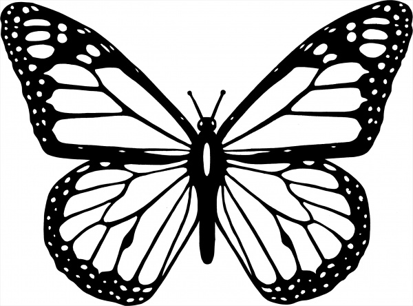 black and white butterfly clipart - Clip Art Library