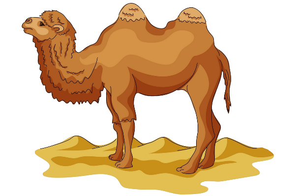 Funny Camel Pictures_camel clipart
