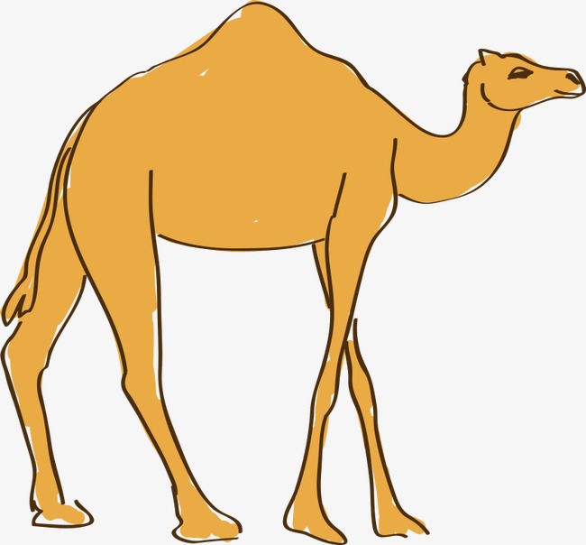 Hand painted cartoon camel, Camel, Camel Cartoon, Hand painted 