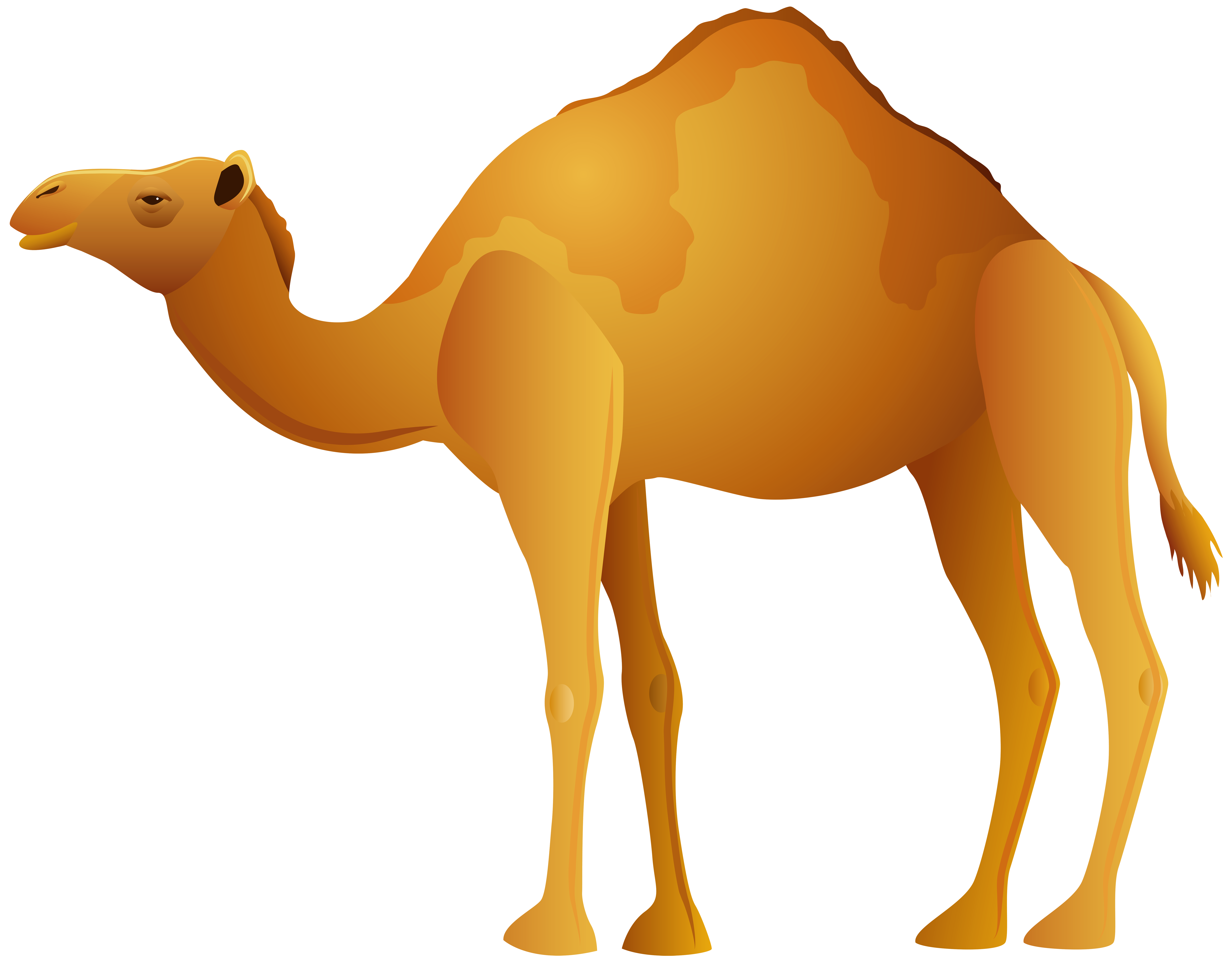 Camel PNG Clip Art Best WEB Clipart_pics