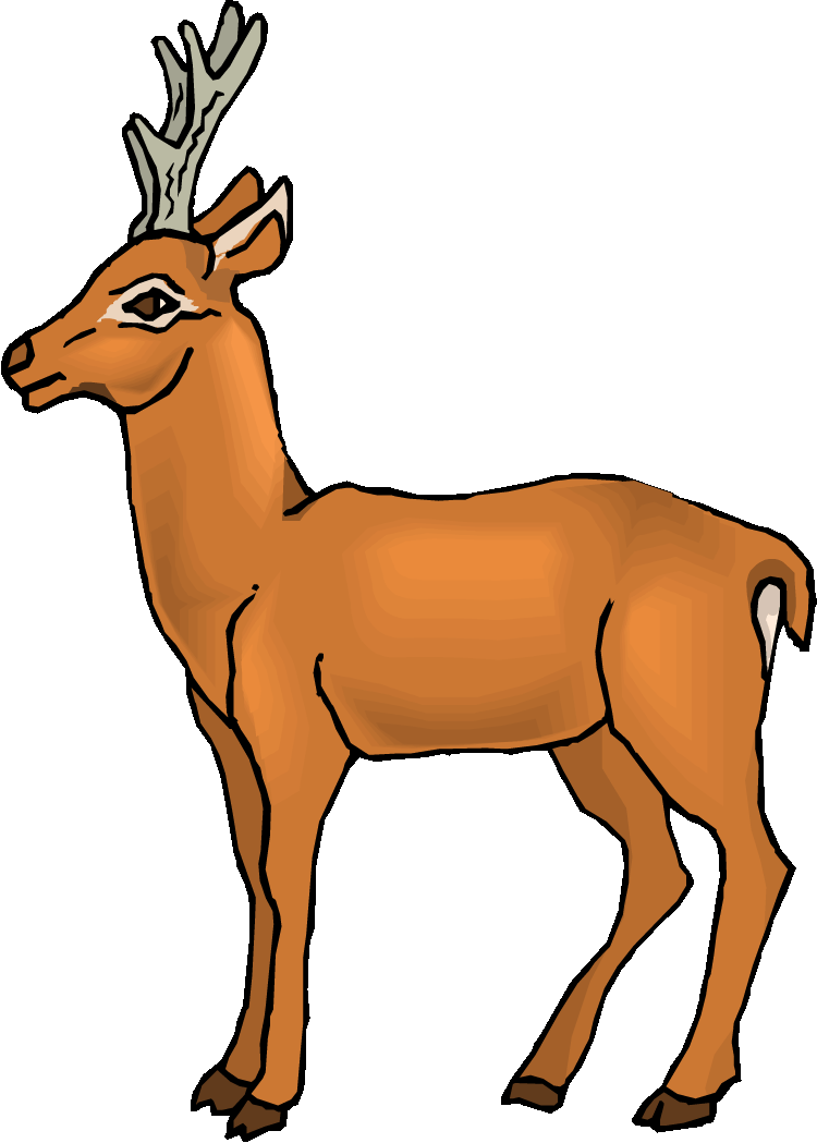 Cute deer clipart free clipart images 2 on ClipArt-Library