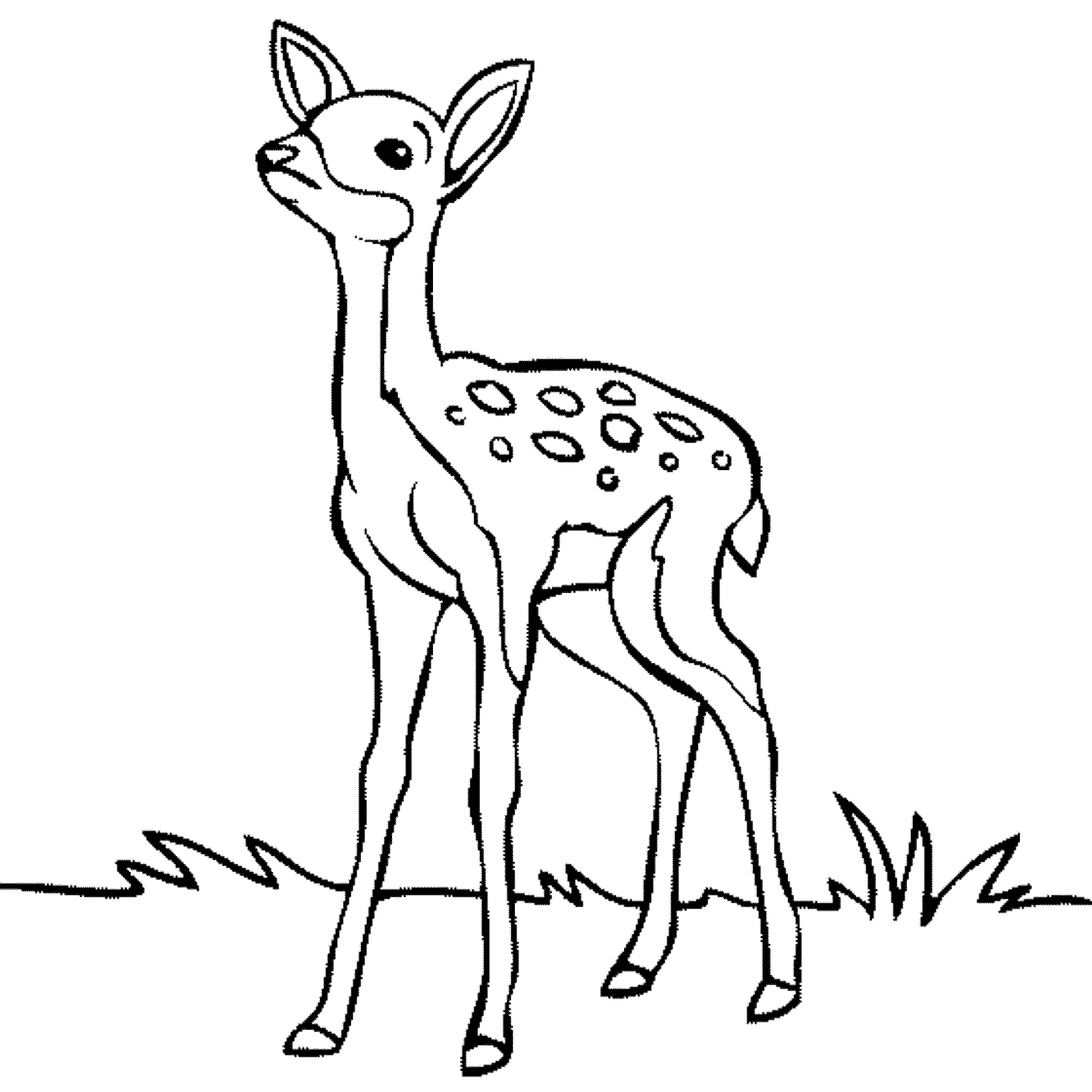 deer clipart black and white 2 Clipart Station