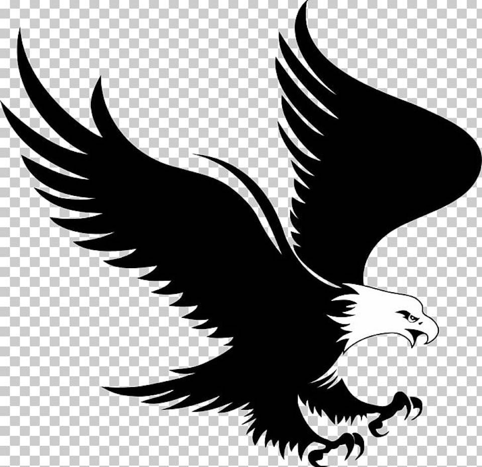 44 Images Of Eagle Mascot Clipart You Can Use These Free Cliparts 