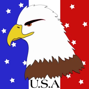 Free American Eagle Clipart Image 0515 0904 2218 5510