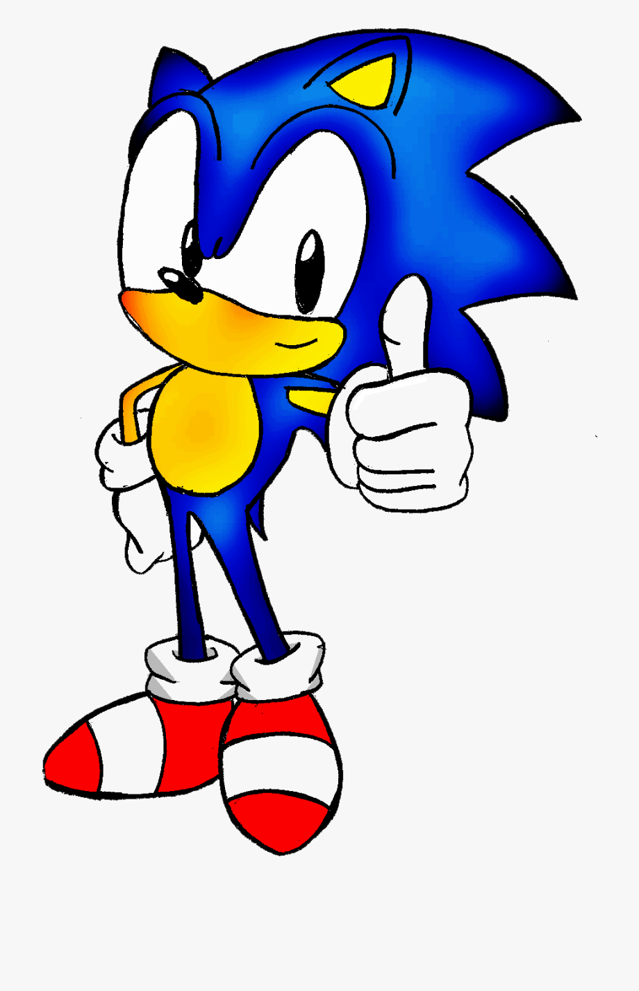 Hedgehog Clipart - Sonic The Hedgehog Clip Art , Transparent 