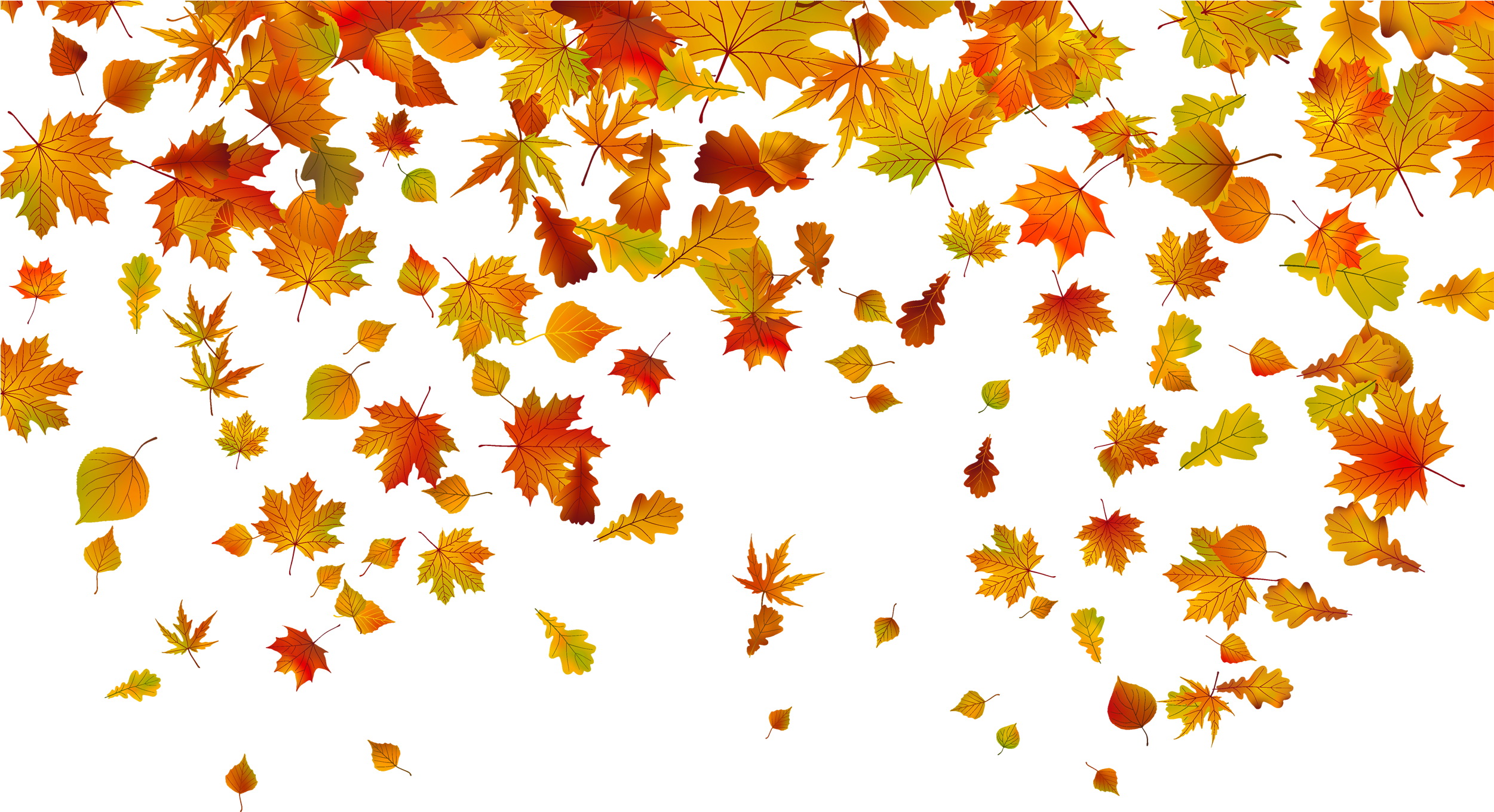 transparent fall leaves background - Clip Art Library