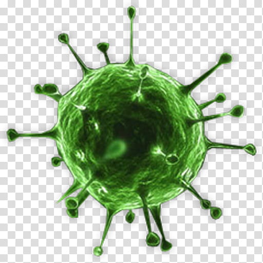 Coronavirus Png Image Hd Transparent