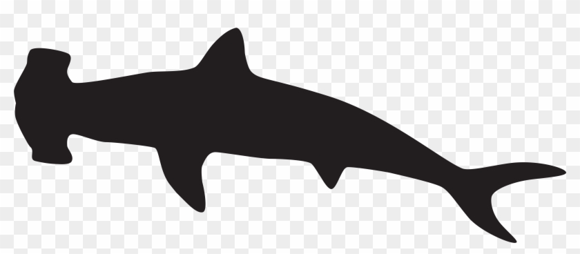 Hammerhead Shark Clipart Images Browse Stock Photos Vectors