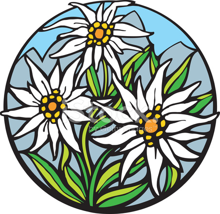 Edelweiss Borders Clip Art Library