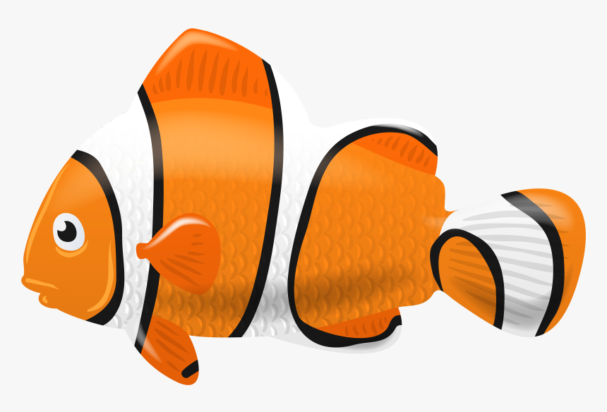 Clownfish Fish Png Clip Art Best Web Clipart Clip Art Library