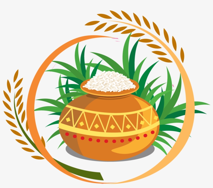 Ancient Grains Stock Photos Pictures Royalty Free Clip Art