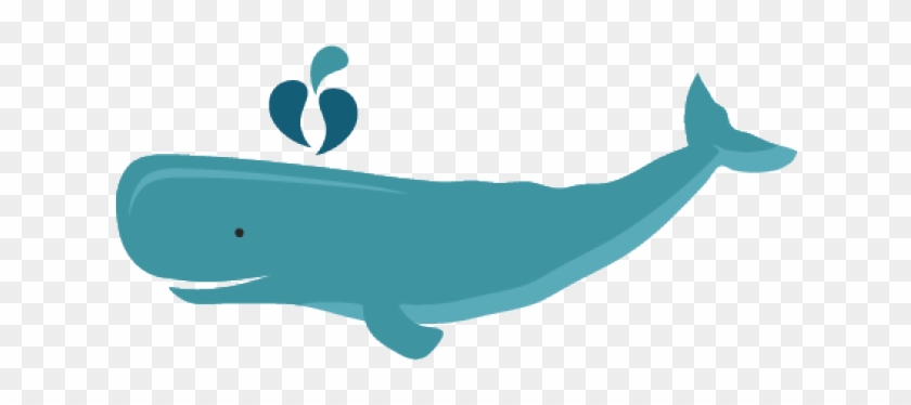 Sperm Whales Clip Art Library