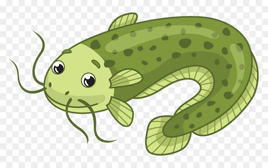 Premium Vector Flathead Catfish Hand Sketched Hand Drawn Vector