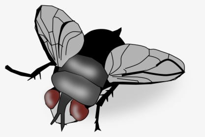 Bugs Flyings Clip Art Library