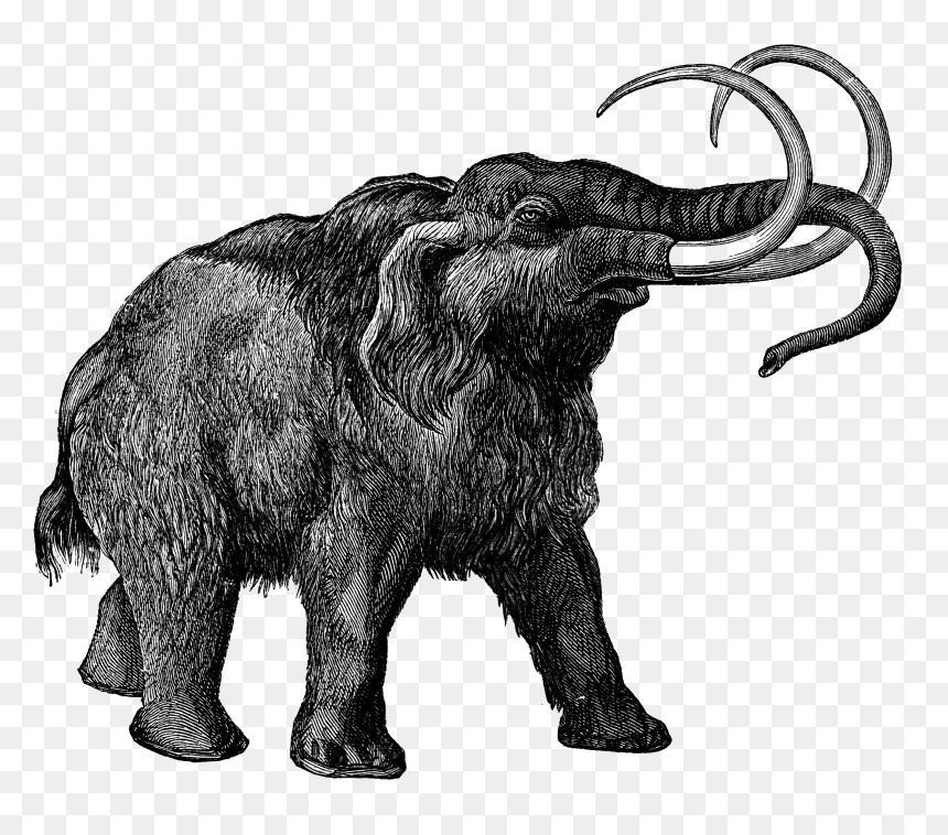 142 Wooly Mammoth Vector Images Depositphotos Clip Art Library