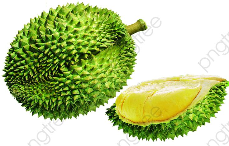 Durian Png Cartoon Clip Art Library Clip Art Library