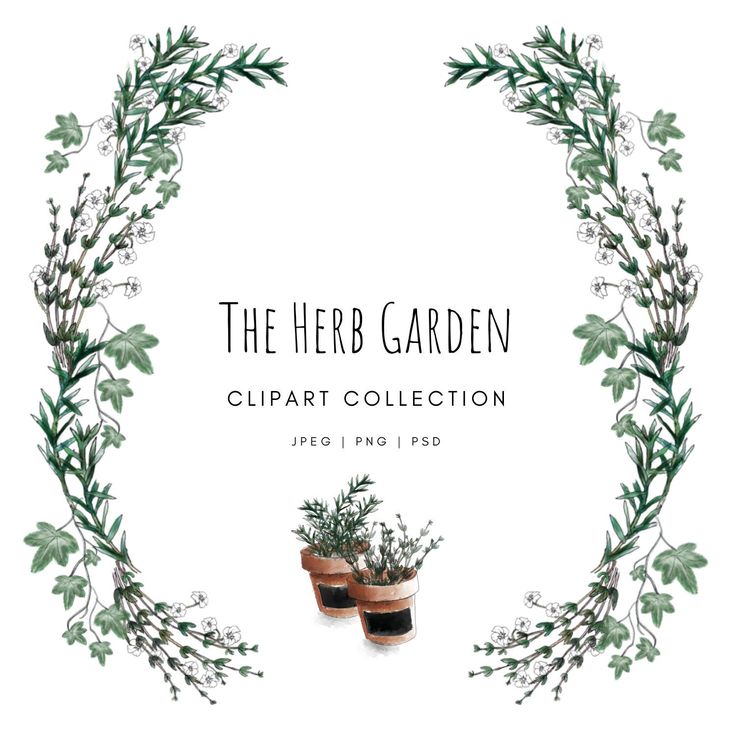 Herb Garden Stock Clipart Royalty Free FreeImages Clip Art Library