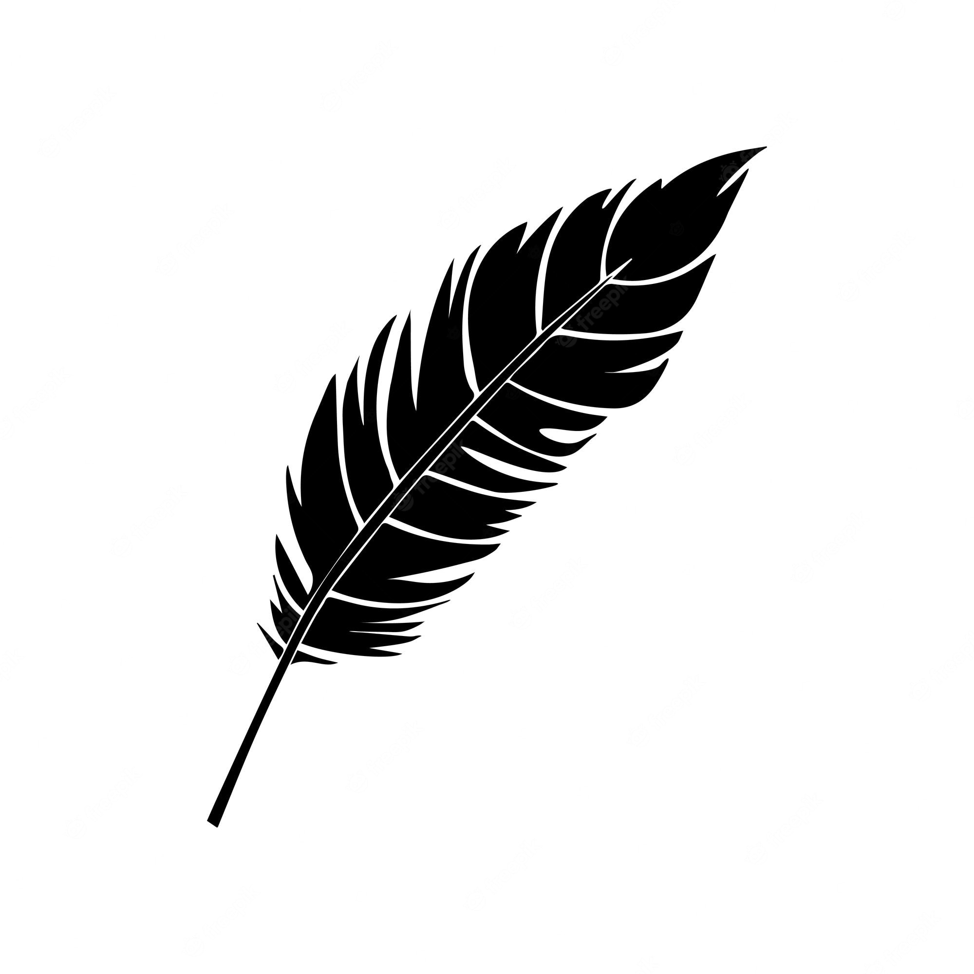 Feather Outlines Clip Art Library