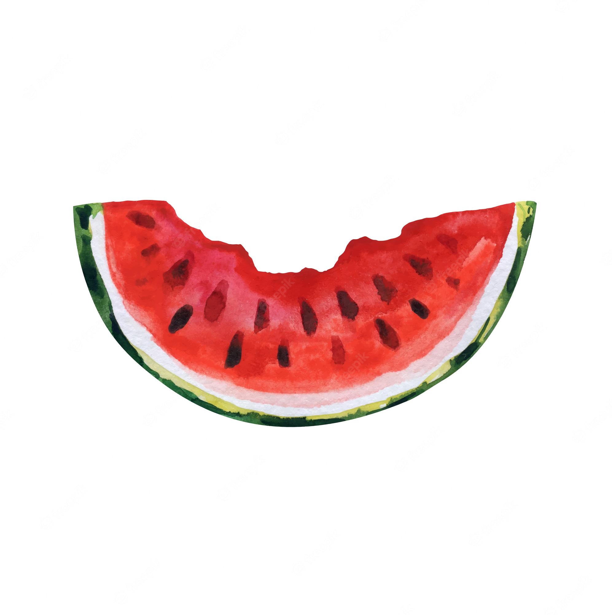 Premium Vector Watermelon And Juicy Watermelon Slice Vector Clip