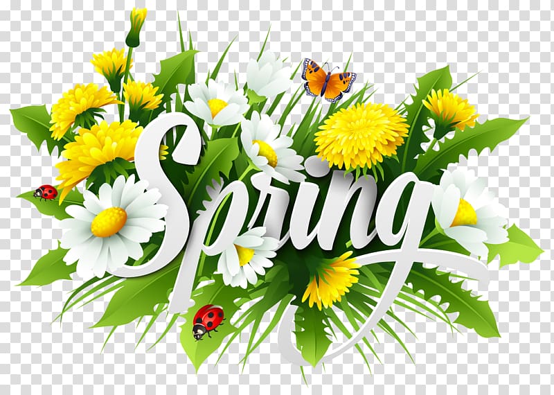 Springtime Cartoon Hd Wallpapers Pxfuel Clip Art Library