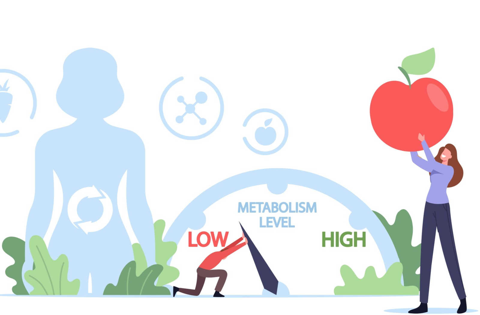 Good Metabolism Stock Illustrations 365 Good Metabolism Stock Clip