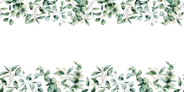 Watercolor Vector Green Floral Card With Silver Dollar Eucalyptus