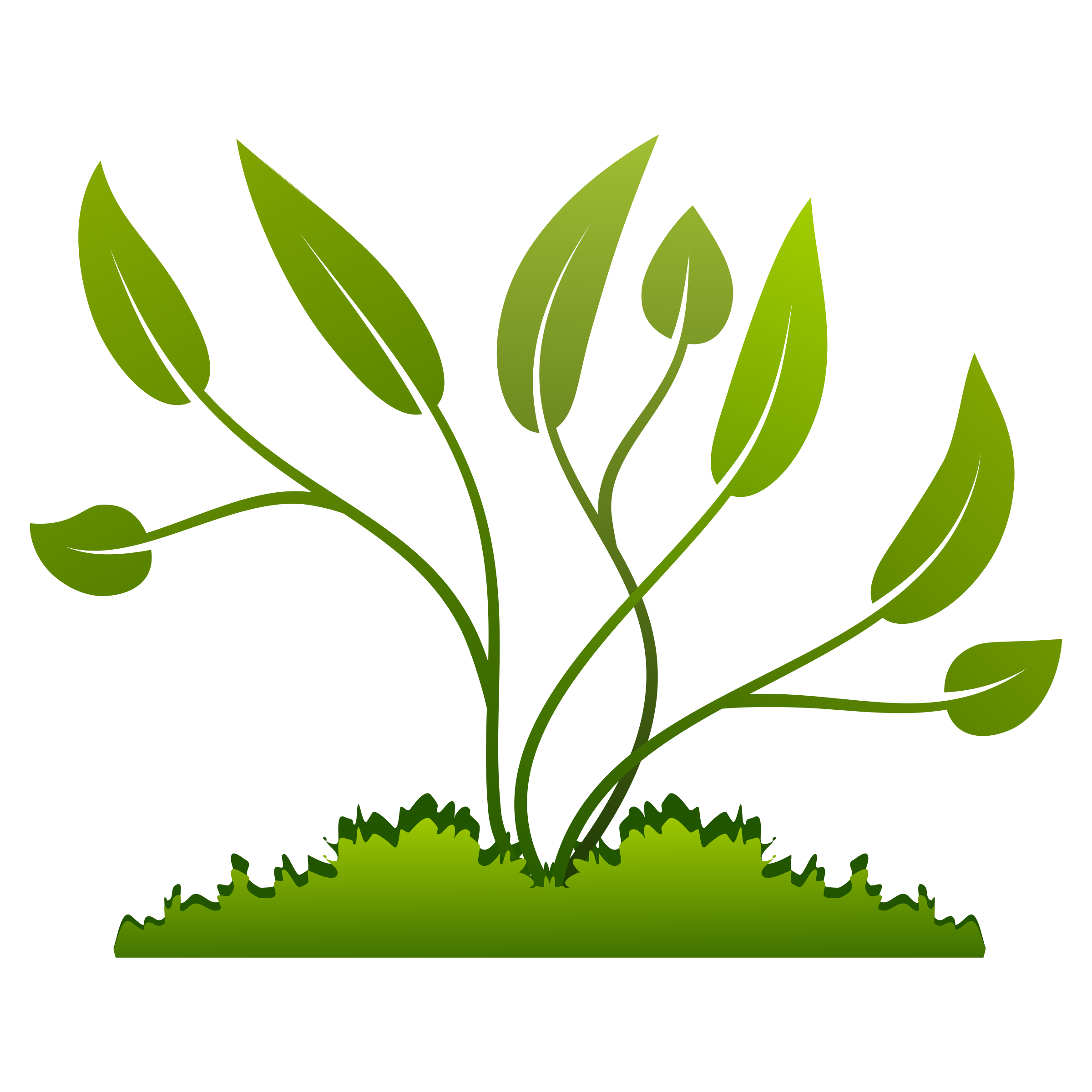 Plants Green Plant Transparent Background PNG Clipart HiClipart