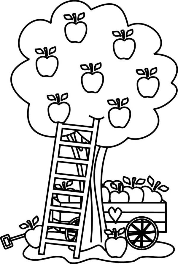 Free Apple Tree Pictures To Color Download Free Clip Art Free Clip Art On Clipart Library