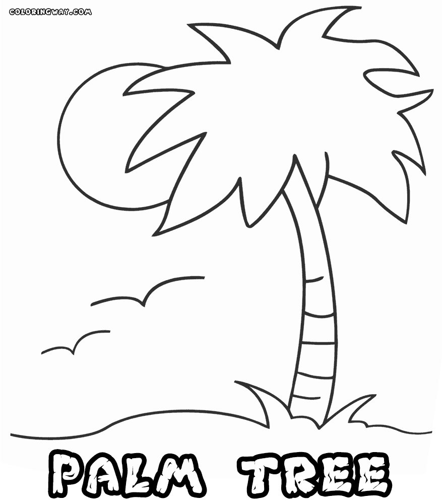 Printable Palm Tree Coloring Pages Clip Art Library