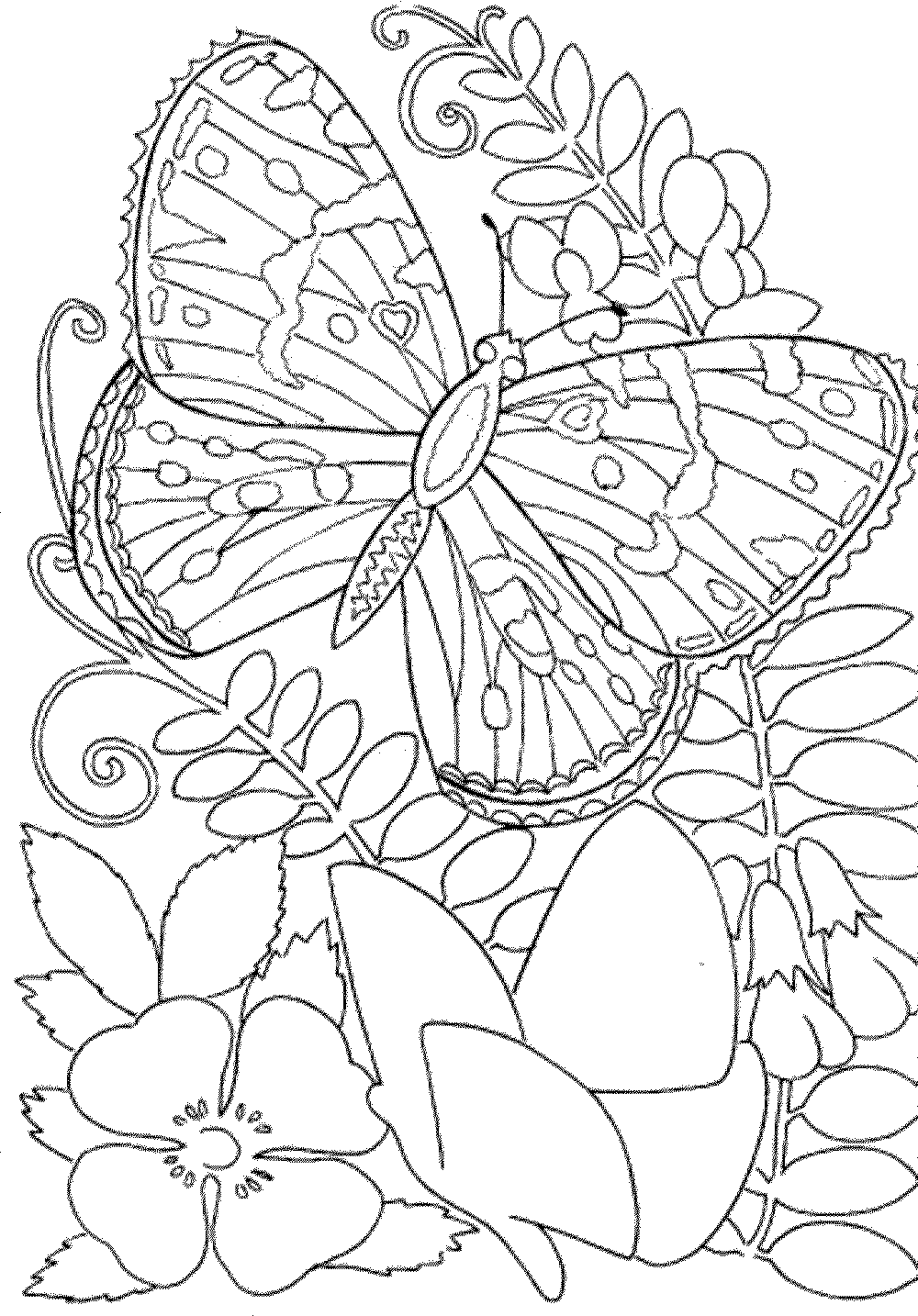 Free Free Printable Spring Coloring Pages For Adults, Download Free