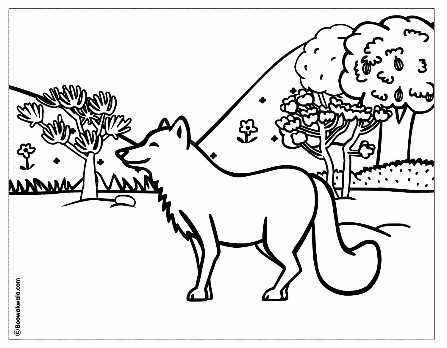 Forest Animal Coloring Pages To Print Deciduous Forest Coloring
