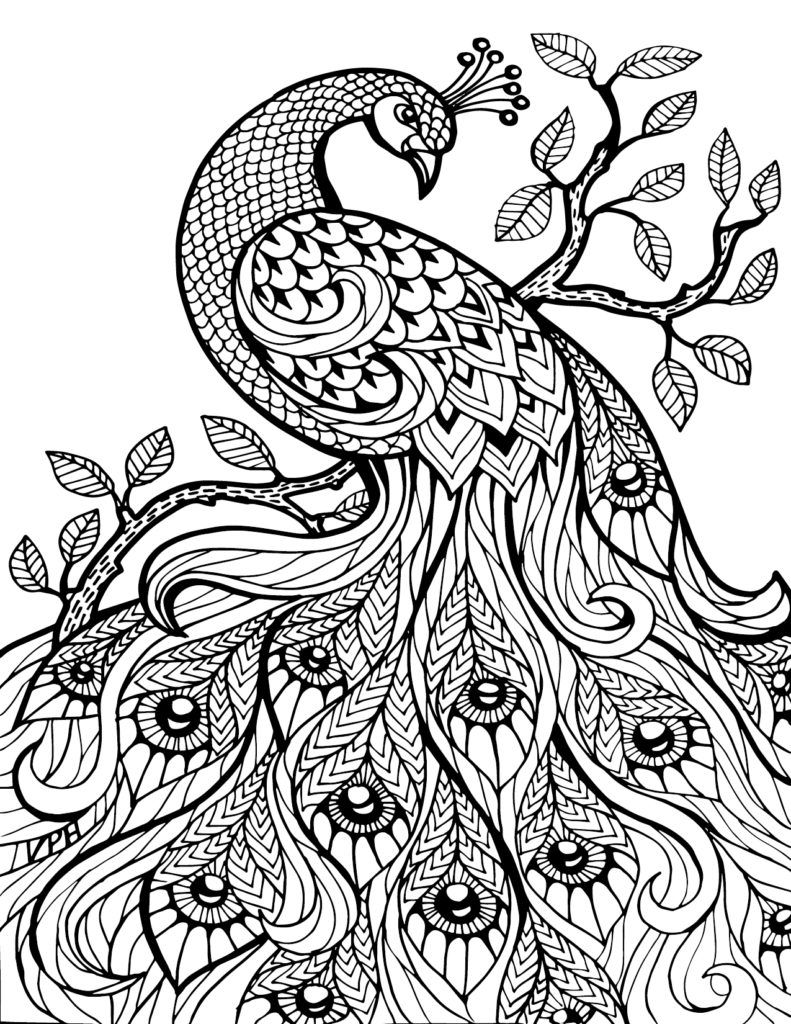 free abstract patterns coloring pages hard coloring pages free