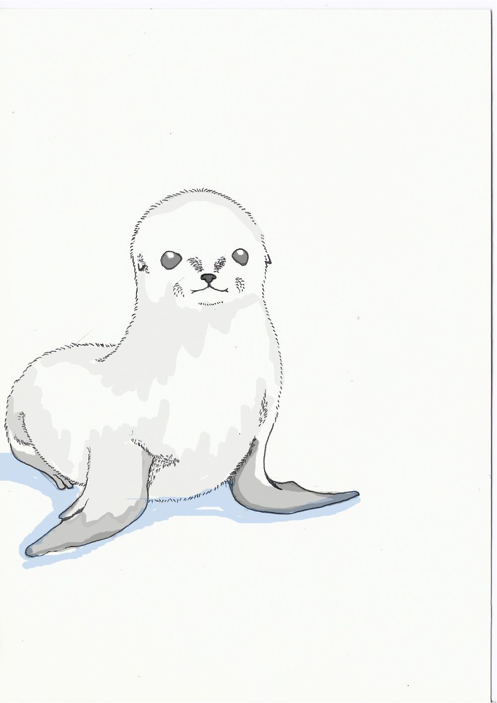 baby seal coloring pages