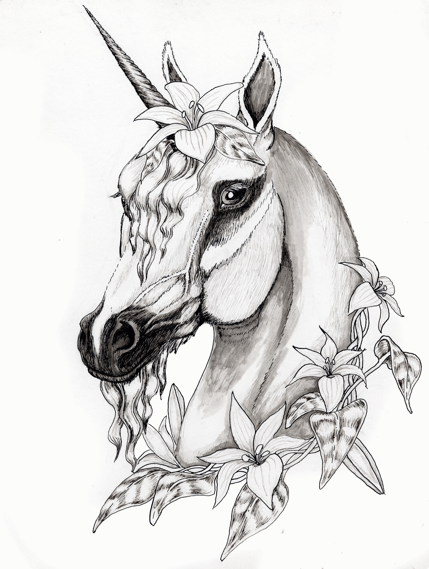 realistic unicorns coloring pages   Clip Art Library