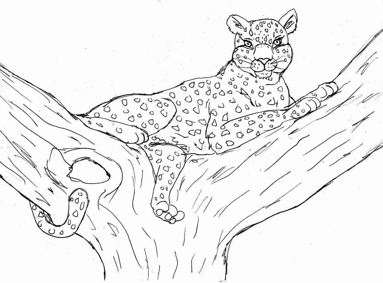 Leopard Coloring Pages Of The Tree |Clipart Library