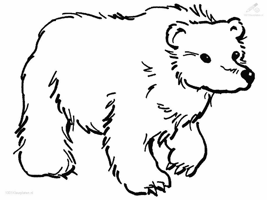 Bear Helmet Coloring Page | Coloring Pages For All Ages