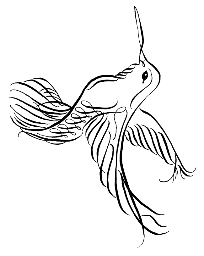 Hummingbird Coloring Pages Images  Pictures 