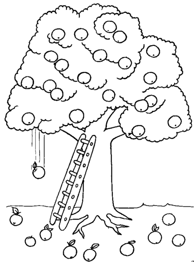 Coloring Page Tree | Coloring Pages for Kids and for Adults