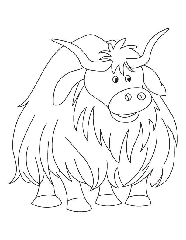 Free Yak Coloring Pages, Download Free Yak Coloring Pages png images