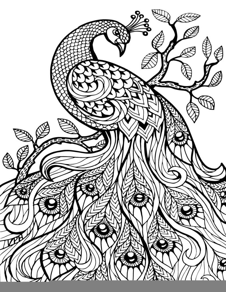 printable colouring in patterns   Clip Art Library