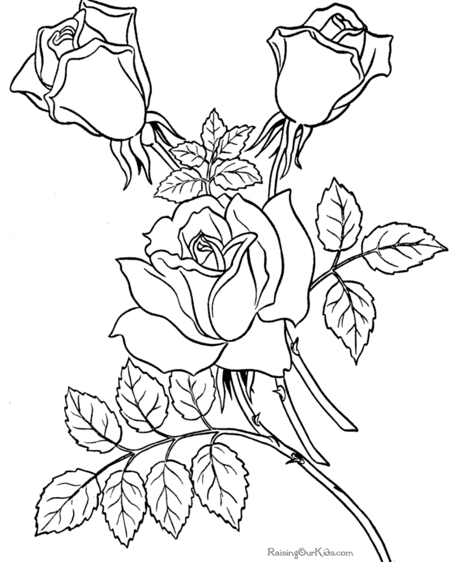 Free coloring pages sheets of Roses