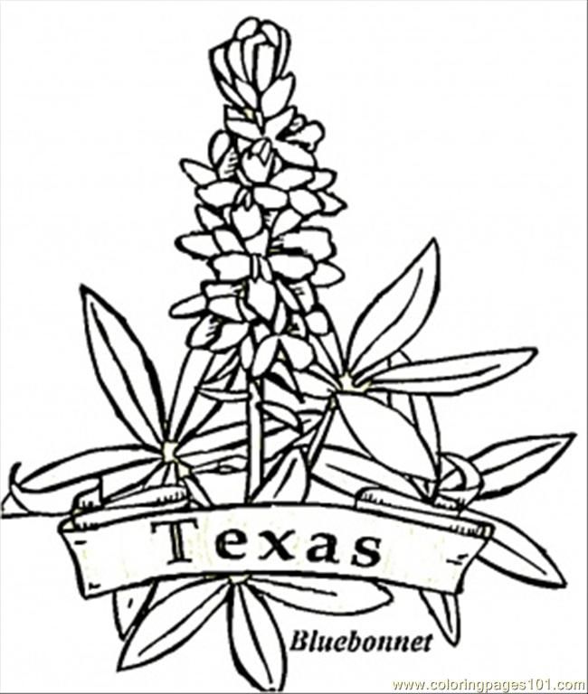 Search Results Texas Map Coloring Page