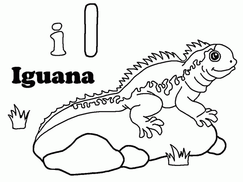 iguana sunbathing on a rock coloring page: iguana-sunbathing-on-a