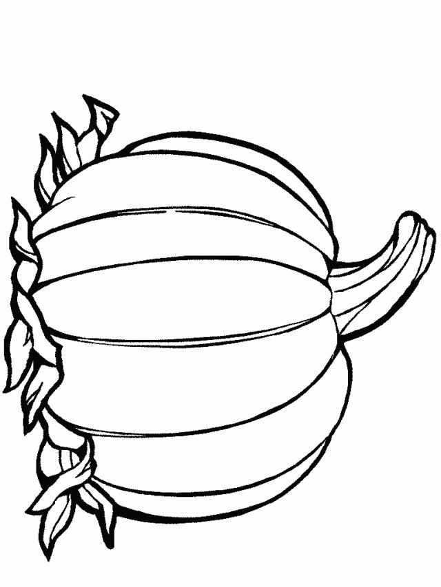 Pumpkin Template Colouring Page Blank Pumpkin Coloring Pages