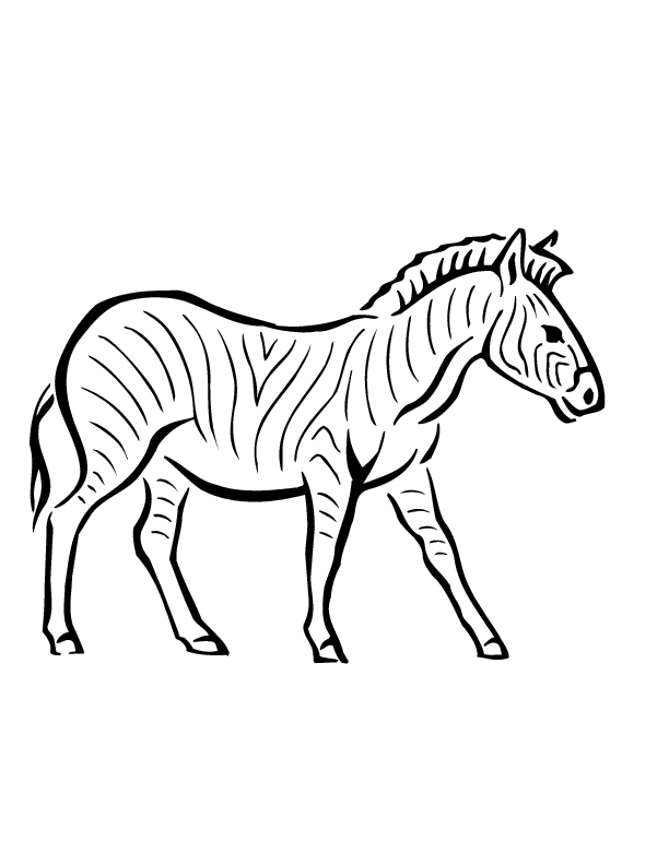 zebra | printable coloring in pages for kids - number online