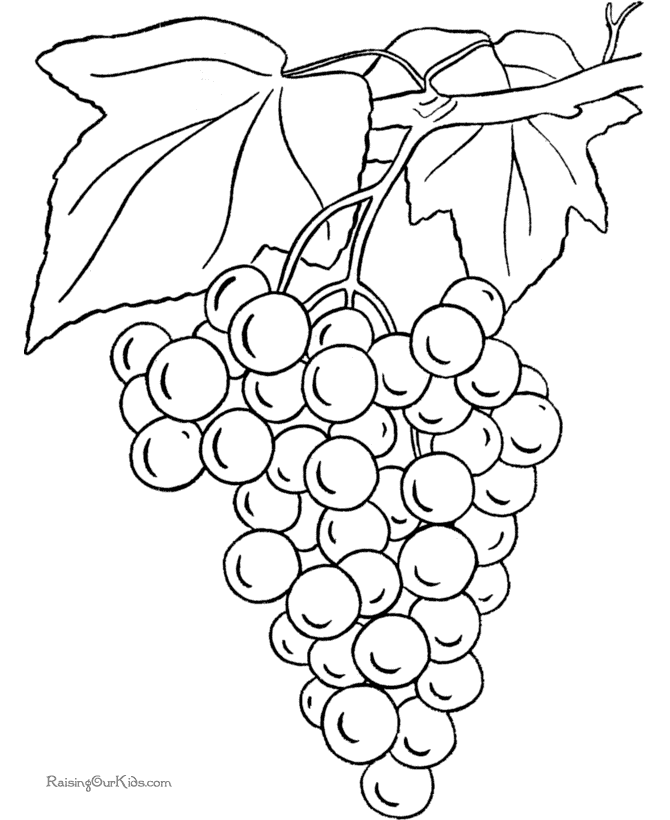 Grapes coloring Page