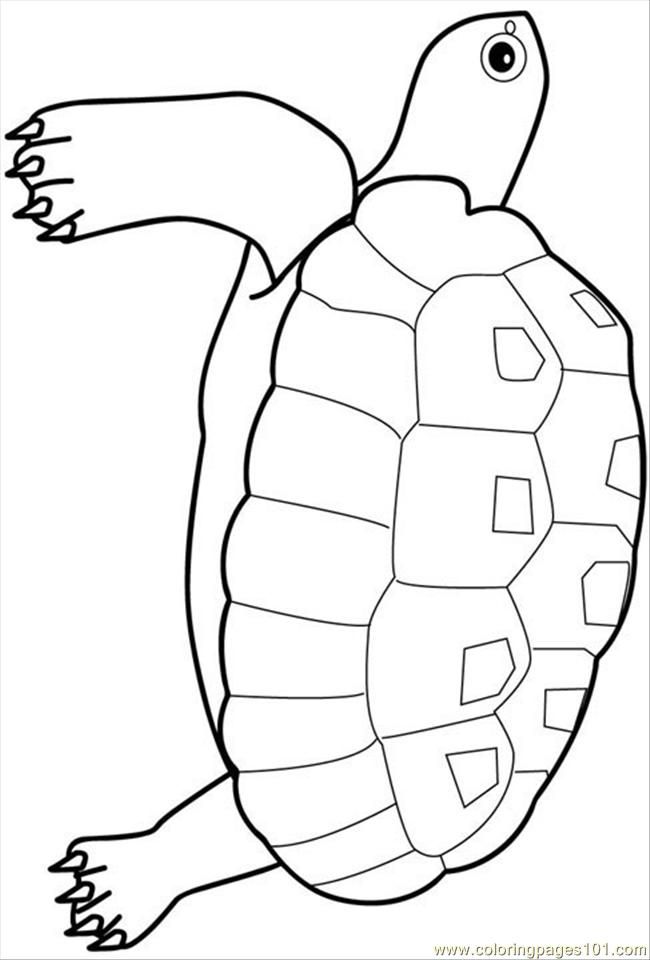 Coloring Pages Seaturtle (Reptile  Turtle) | free printable