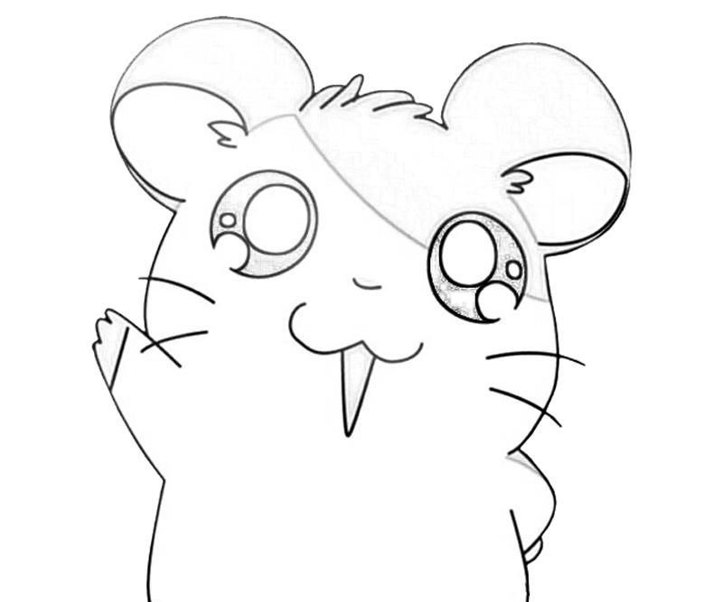 Coloring Pages Of Cute Hamsters Clip Art Library