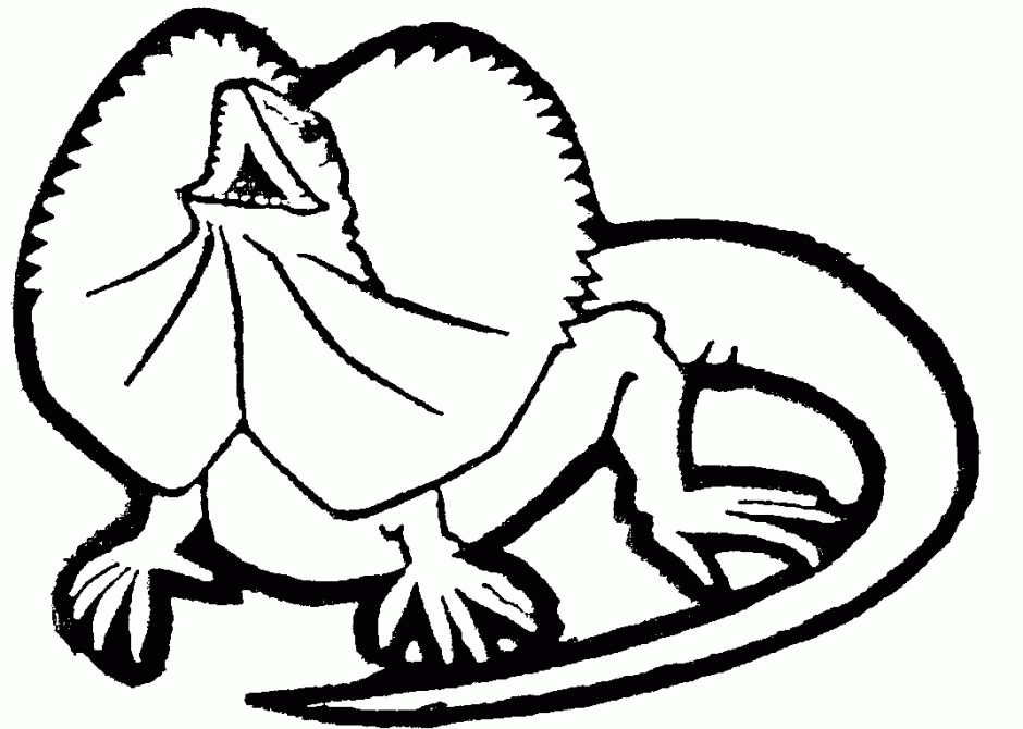 Free Lizard Colouring Pictures, Download Free Lizard Colouring Pictures